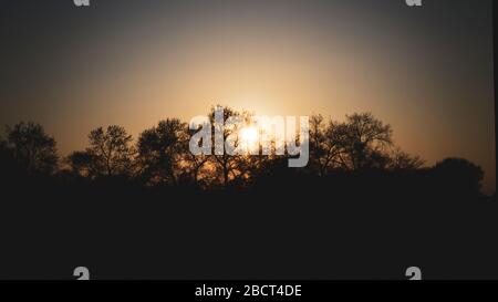 Baumgrenze`s dunklen Schatten bei schönem Sonnenuntergang auf der sava-Böschung des zagreber Flusses Stockfoto